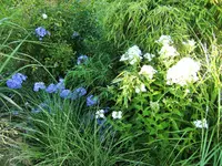 DSCF3062 (2).webp