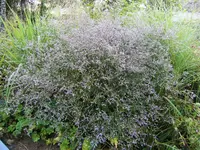 DSCF3063 (2).webp