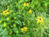 DSCF3069 (2).webp