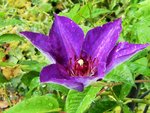 DSCF3074 (2).JPG