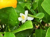 DSCF3076 (2).webp