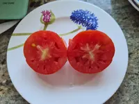 20220802_112612.webp
