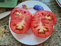 20220802_104621.webp