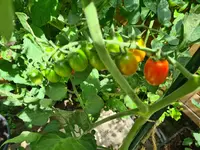 20220802_120353.webp