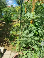 20220802_120345.webp