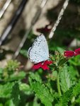 IMG_20220802_134554.jpg