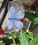 Gallery_1659441817214.jpg
