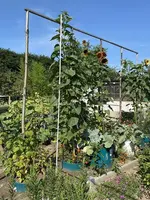 k-IMG_5303.webp