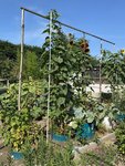 k-IMG_5303.JPG