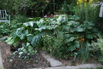 August  0122.jpg