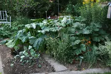 August  0122.webp