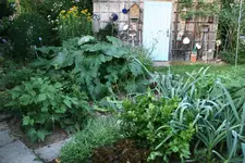August  0322.webp