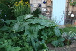August  0422.jpg