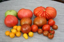 August    0222.JPG