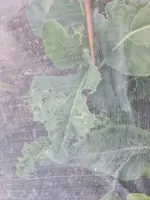 20220801_210314.webp