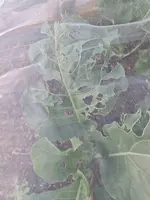 20220801_210318.webp