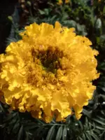 IMG_20220802_092237.webp