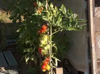 HPIM4334[1].webp