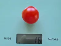 20220803_122444.jpg