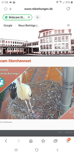 Screenshot_20220803-210847_Samsung Internet.webp