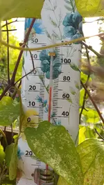 20220804_080411.jpg