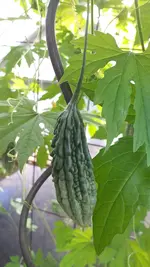 20220804_080134.jpg