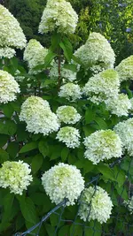 20220804_075940.jpg