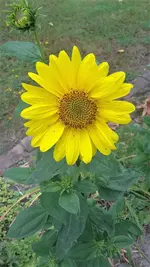20220801_142059.webp