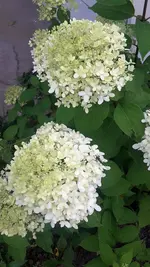 20220801_142357.webp