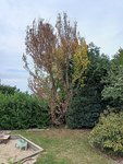 IMG20220626160447.jpg