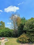 IMG20220724134614.jpg