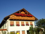 DSC02616.JPG