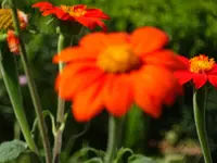DSC02615.webp