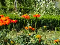 DSC02614.webp