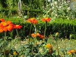 DSC02614.JPG
