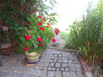DSC02609.JPG
