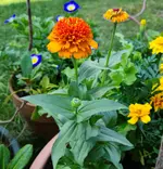 20220805_102826.jpg