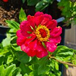 20220805_102956.jpg