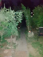 IMG_20220805_215250.webp