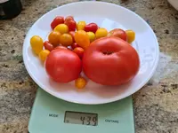 20220806_102249.jpg