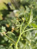 IMG_20220806_145633.webp