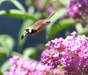 P1360313 (3).webp