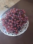 IMG_20220806_132540.jpg