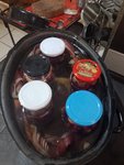 IMG_20220806_145234.jpg