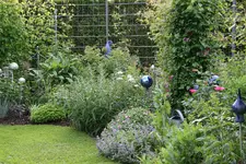Juni2515 (2).webp