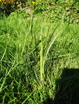 IMG_20220807_100303.jpg