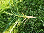 IMG_20220807_100316.jpg