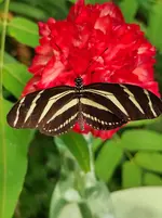 IMG_20220807_130434.webp