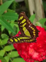 IMG_20220807_130440.webp