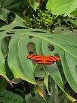 IMG_20220807_130652.jpg
